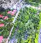 兰州大学学位授予标准