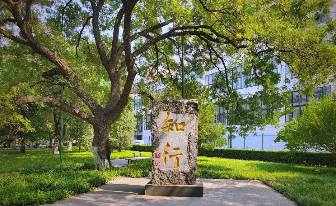 北京交通大学MIS系统登录