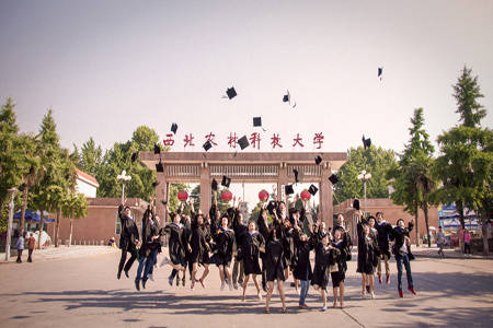 西北农林科技大学文凭报考条件